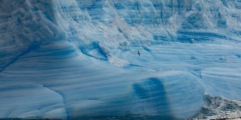Ein Gletscher im Weddellmeer: Nachdem der aktuelle Vogelgrippe-Ausbruch die Antarktis erreicht hat, befürchten Umweltexperten ein Massensterben von Seevögeln. - Foto: John Weller/dpa