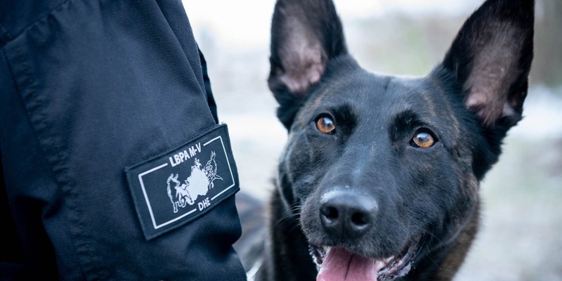 POL-NB: Das Kokain fand Cora - Foto: presseportal.de