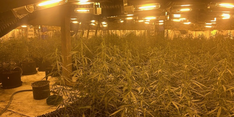 POL-OF: Telefonbetrüger trieben ihr Unwesen; Verkehrskontrollen mit Schwerpunkt Beleuchtung; Cannabis-Plantage in Scheune ausgehoben und mehr - Foto: presseportal.de