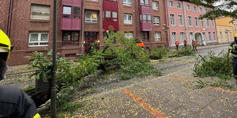FW-NE: Baum stürzt auf Oberleitung der Straßenbahn | Oberstraße mehrere Stunden gesperrt | Keine Verletzten - Foto: presseportal.de