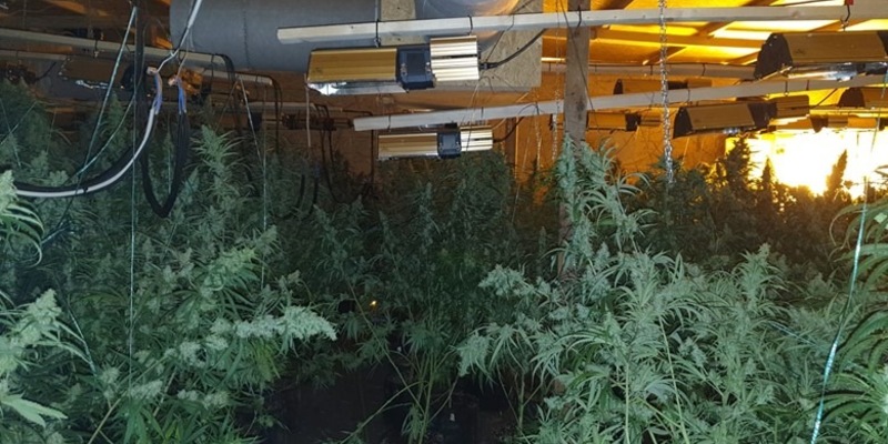 POL-PDPS: Gemeinsame Pressemitteilung der Staatsanwaltschaft Zweibrücken und der Polizeidirektion Pirmasens - Zwei Rauschgiftplantagen ausgehoben mit bislang 6 Festnahmen - Foto: presseportal.de