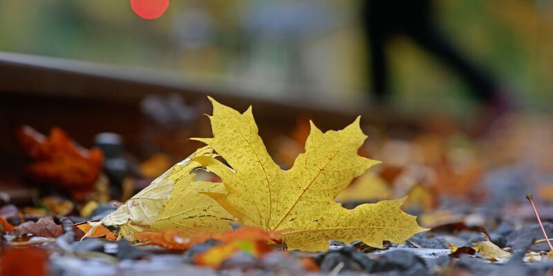 Dem EU-Klimawandeldienst zufolge reagiert das Klima auf die Konzentration von Treibhausgasen in der Atmosphäre. - Foto: Matthias Bein/dpa