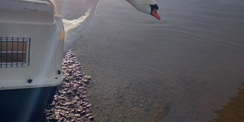 FW-EN: Feuerwehr am Montagmorgen im Dauereinsatz - Foto: presseportal.de