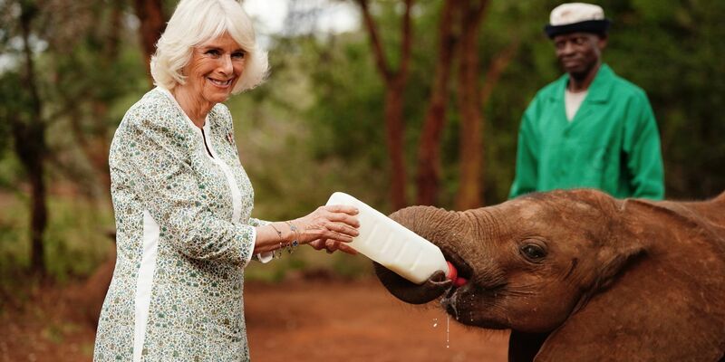 Königin Camilla (l) füttert ein Elefantenbaby beim Besuch im Nairobi-Nationalpark. - Foto: Victoria Jones/PA Wire/dpa