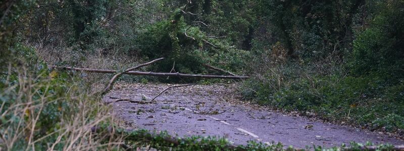 Umgestürzte Bäume und abgebrochene Äste blockieren eine Straße in Dover, Kent. - Foto: Gareth Fuller/PA Wire/dpa