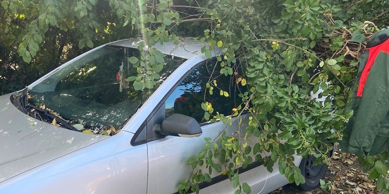 FW-GE: Sturmtief über Gelsenkirchen beschert der Feuerwehr zahlreiche Einsätze - Foto: presseportal.de