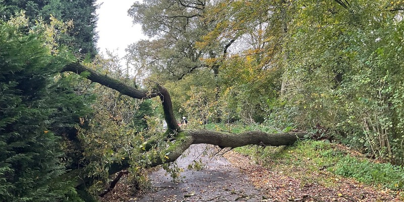 FW-EN: Technische Einsatzleitung des Ennepe-Ruhr-Kreises übt drei Tage in Münster - Foto: presseportal.de