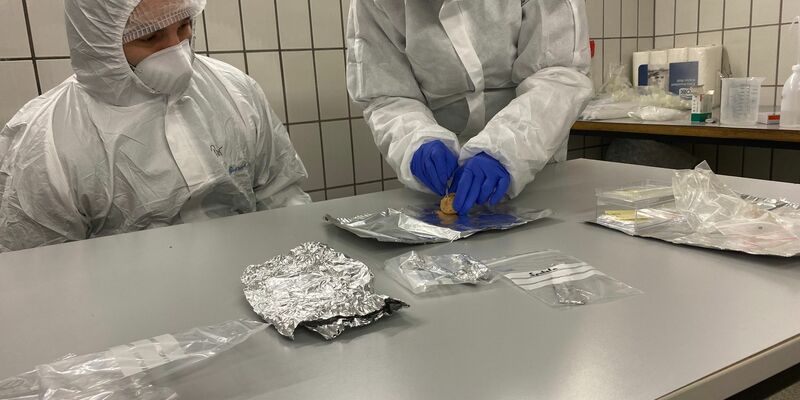 Wie eine Zeitkapsel enthalten Koprolithen Hinweise auf die Produzenten der Exkremente und deren Nahrung: die verdauten Tiere und Pflanzen. - Foto: Yvonne Tafelmaier/Universität Konstanz/dpa