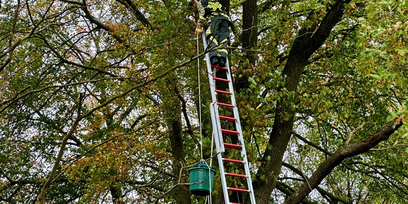 FW Hünxe: Katze aus 11 Metern Höhe gerettet - Foto: presseportal.de