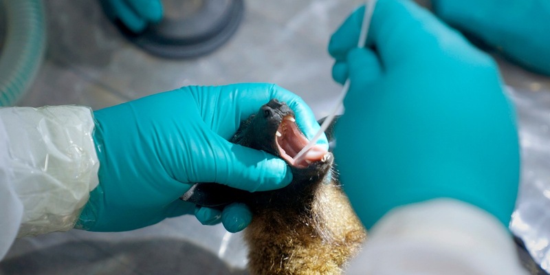 Was auf Corona folgt: MDR blickt auf die nächste Pandemie - Foto: presseportal.de