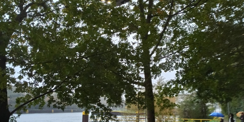 FW-OB: Feuerwehr rettet Katze aus Baum - Foto: presseportal.de