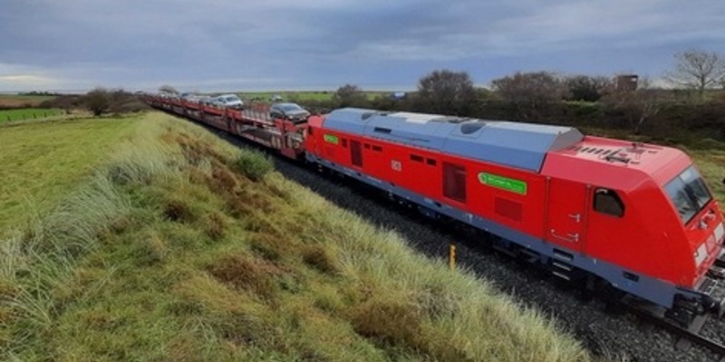 BPOL-FL: Morsum - Autozug kollidiert mit Rinderherde - Foto: presseportal.de