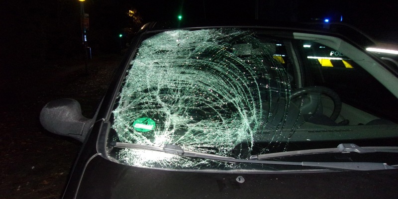 POL-NE: Autofahrer übersieht Rotlicht - Fußgänger schwer verletzt - Foto: presseportal.de