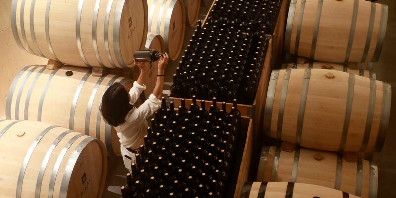 Wein in Fässern und Flaschen: Die Produktion könnte einer Branchenschätzung zufolge in diesem Jahr auf den niedrigsten Stand seit 60 Jahren zurückgehen. - Foto: Clara Margais/dpa