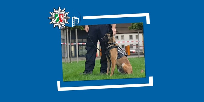 POL-OB: Mutmaßlicher Dieb schläft im Diebesgut - Diensthund Figo erfolgreich im Einsatz - Foto: presseportal.de