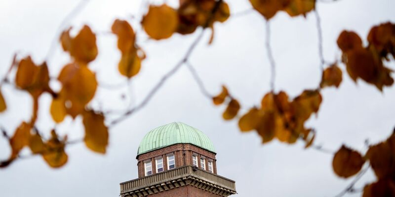 Der ehemalige Wasserturm der Alten Fleiwa steht in trübem Herbstlicht hinter den Blättern eines Baums im Botanischen Garten. - Foto: Hauke-Christian Dittrich/dpa