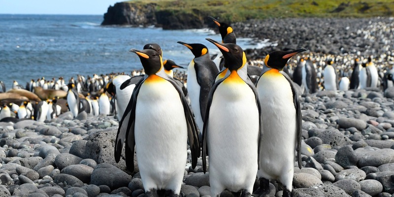„Ein Jahr auf der Erde“ – Neue Naturdoku-Reihe im Ersten - Foto: presseportal.de