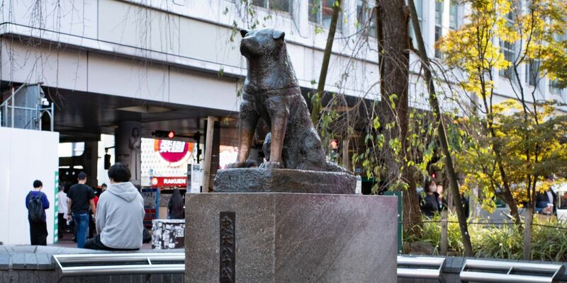 Die Hachiko-Statue am Bahnhof Shibuya in Japans Hauptstadt Tokio. - Foto: Taidgh Barron/ZUMA Press Wire/dpa