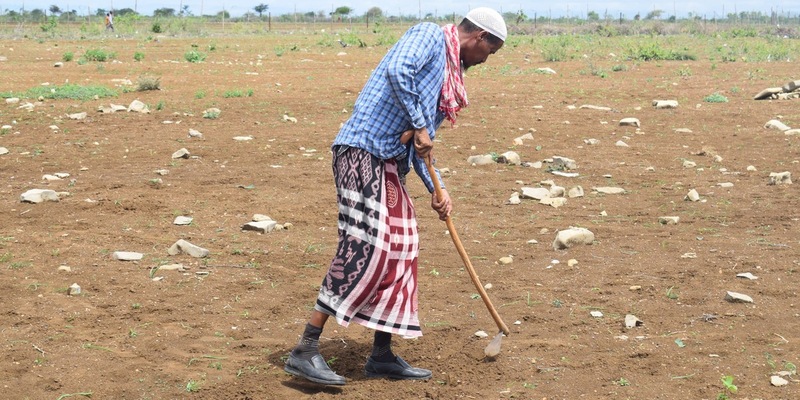 #InDenFokus: Hungersnot in Somalia - Foto: presseportal.de