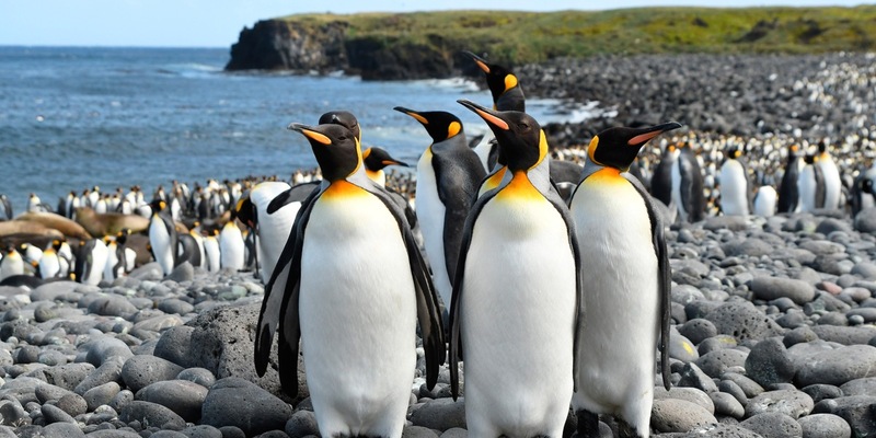 „Ein Jahr auf unserer Erde“ – Neue Naturdoku-Reihe im Ersten (Neu mit korrigiertem Titel) - Foto: presseportal.de