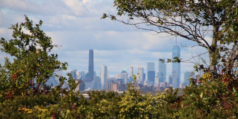 Die Skyline von Manhattan, im Vordergrund das Naturschutzgebiet Jamaica Bay Wildlife Refuge. - Foto: Christina Horsten/dpa