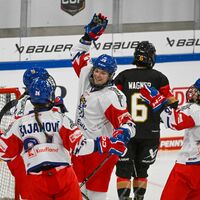 Eishockey-Bundestrainer Harold Kreis muss bei der WM in der Abwehr auf wichtige Spieler verzichten. - Foto: Armin Weigel/dpa