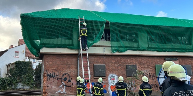POL-PDLD: Landau- Tauben in Stellwerk gefangen - Foto: presseportal.de