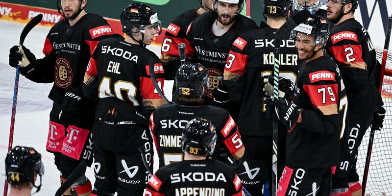 Das DEB-Team hat beim Deutschland Cup in Landshut begeistert. - Foto: Sven Hoppe/dpa