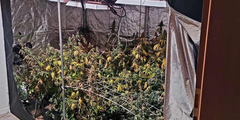 POL-SU: Drogenfahnder durchsuchen Wohnung - Foto: presseportal.de