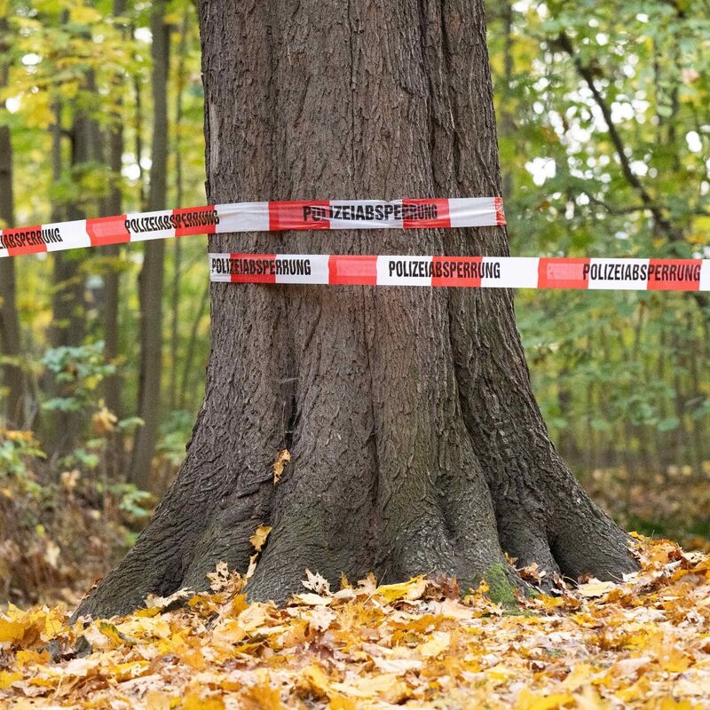 Absperrband der Polizei: Rund 180 Beamte der Bereitschaftspolizei durchkämmten den Wald. - Foto: Sebastian Kahnert/dpa