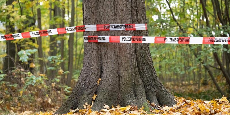 Absperrband der Polizei: Rund 180 Beamte der Bereitschaftspolizei durchkämmten den Wald. - Foto: Sebastian Kahnert/dpa