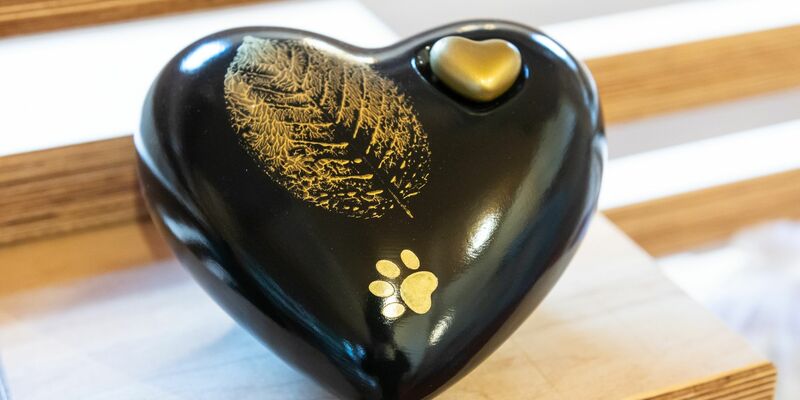 Tierbesitzer können die Zeremonie in der Kirche ganz individuell gestalten. - Foto: Silas Stein/dpa