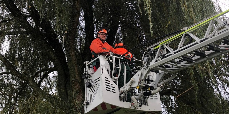 FW-KLE: Achtung, Baum fällt! - Ausbildung an der Motorsäge bei der Freiwilligen Feuerwehr Bedburg-Hau - Foto: presseportal.de