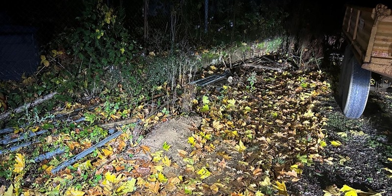 POL-PDLD: Rhodt - Diebstahl von Wingertspfählen - Foto: presseportal.de