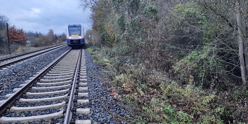 BPOL-H: Rinderherde ausgebrochen; ein Tier wird von Zug erfasst - Foto: presseportal.de