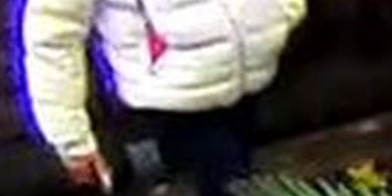 POL-OF: Nach schadensträchtigem Telefonbetrug: Kripo fahndet öffentlich mit Bildern nach dem Abholer - Foto: presseportal.de