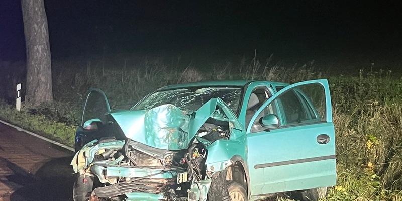 POL-HI: Schwerer Baumunfall fordert eine schwer- und eine leichtverletzte Person - Foto: presseportal.de