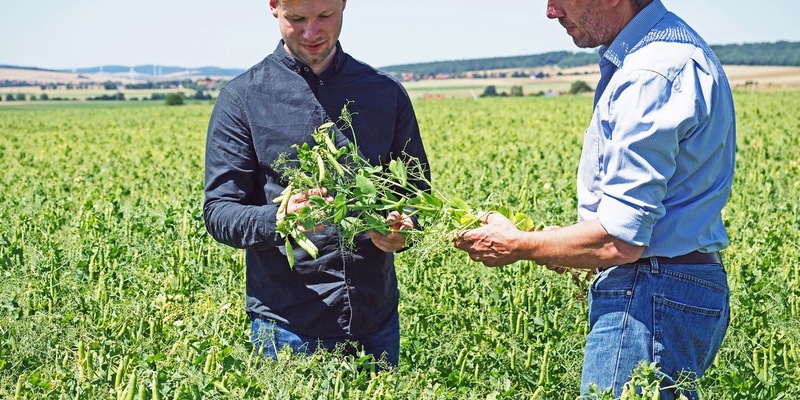 Neues Geschäftsfeld: Nordzucker investiert in pflanzenbasierte Proteine - neues Werk geht 2026 in Betrieb - Foto: presseportal.de