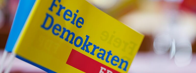 Der Fragetext der bundesweiten Befragung soll lauten: «Soll die FDP die Koalition mit SPD und Grünen als Teil der Bundesregierung beenden?» - Foto: Daniel Karmann/dpa