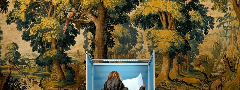 Eine Frau studiert ihren Stimmzettel für die Parlamentswahl in einer Wahlkabine im Rijksmuseum Twenthe in Enschede. Rund 13,3 Millionen Wahlberechtigte sind aufgerufen, ein neues Parlament zu wählen. - Foto: Peter Dejong/AP/dpa