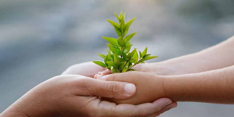 Erfolgreiches Engagement für den Klimaschutz: Science Based Targets initiative (SBTi) validiert die Umweltziele von schülke - Foto: presseportal.de