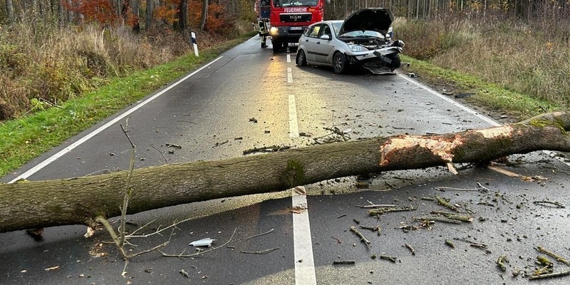 POL-HI: Baum fällt auf Straße - Verkehrsunfall fordert einen Verletzten - - Foto: presseportal.de