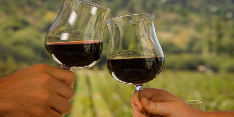 Bewusst genießen: Bio-Lebensmittel in Argentinien im Trend - Foto: presseportal.de