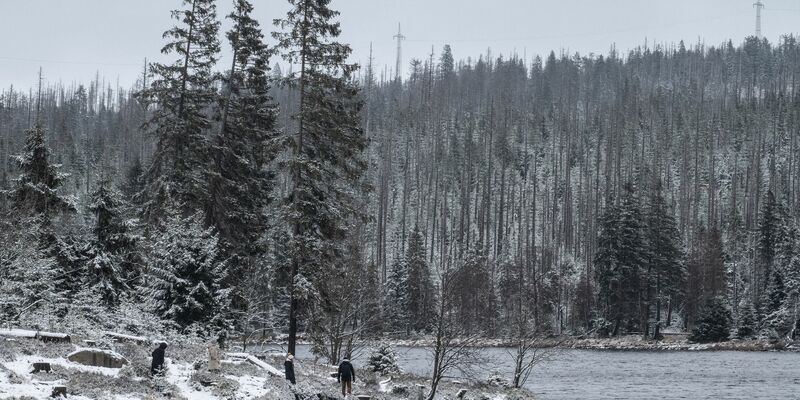 Wanderer gehen am leicht verschneiten Oderteich im Harz spazieren. - Foto: Swen Pförtner/dpa