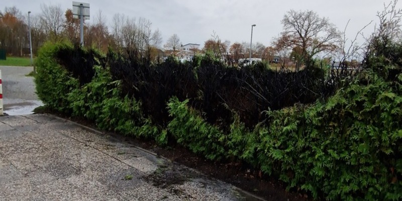 FFW Schiffdorf: Heckenbrand: Feuer vor Ankunft der Feuerwehr gelöscht - Foto: presseportal.de