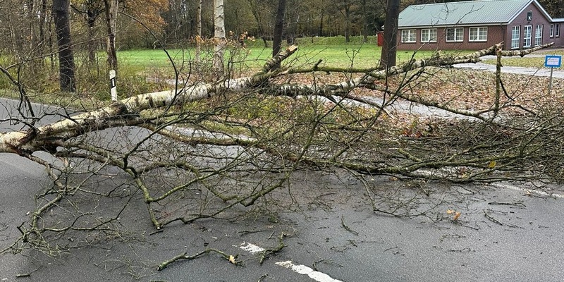 FFW Schiffdorf: Windböen sorgen für Einsatz der Ortsfeuerwehr Wehdel: L143 blockiert - Foto: presseportal.de