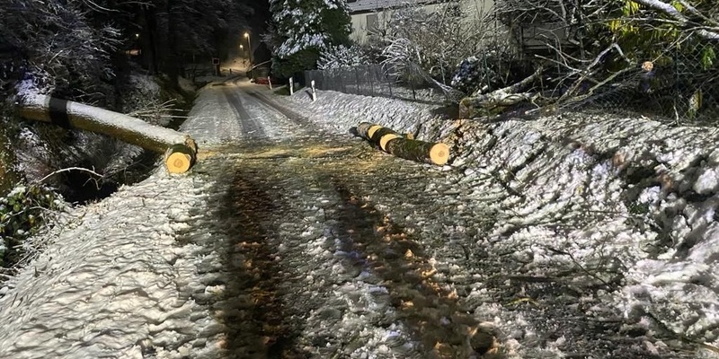 FW-PL: Einsatzreicher Montag für die Feuerwehr - Foto: presseportal.de