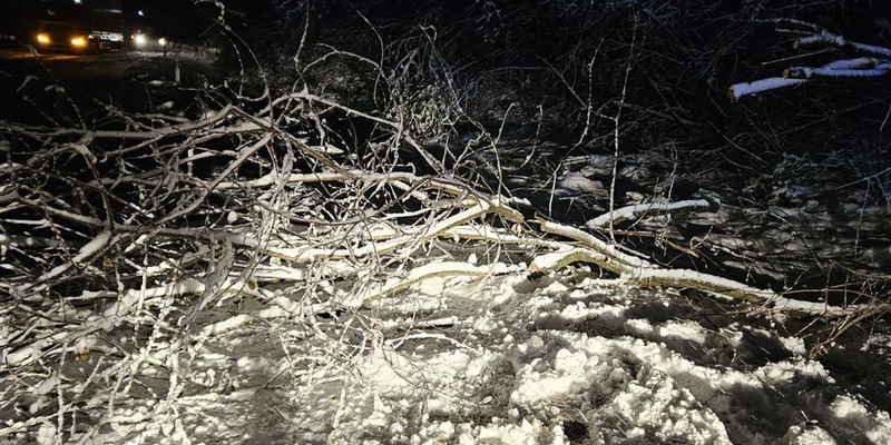FW-EN: Baum auf Fahrbahn - Foto: presseportal.de