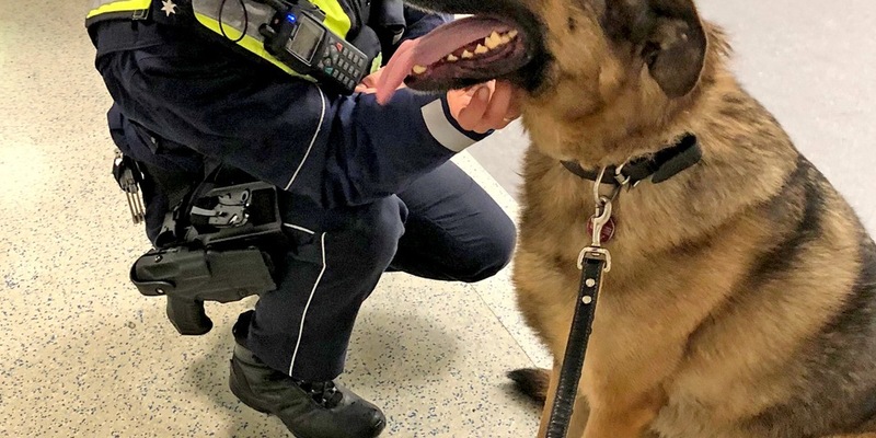 POL-MK: Kommissar Dex auf Abwegen - Foto: presseportal.de