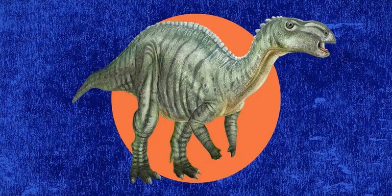 Eine Illustration des Dinosauriers Muttaburrasaurus langdoni, der zum fossilen Wahrzeichen des australischen Bundesstaates Queensland gewählt wurde. - Foto: -/Queensland Tourism Development/dpa